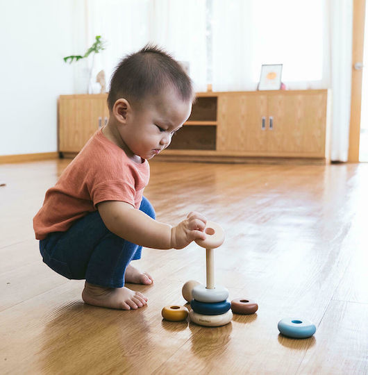 Plan Toys Stacking Toy Orchard made of Wood for 12++ Months