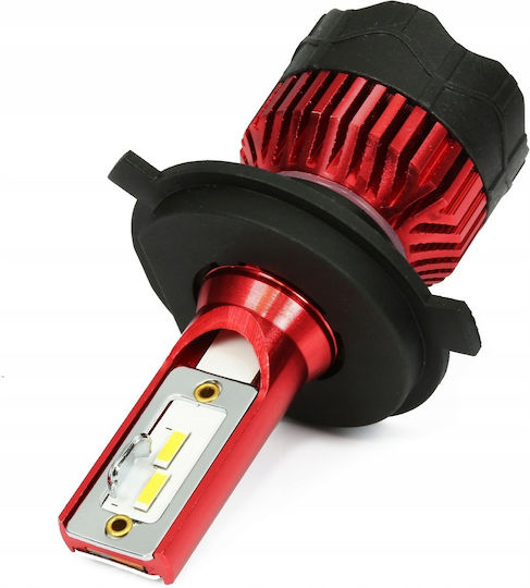 Interlook Λάμπες Αυτοκινήτου H4 Canbus LED 12-24V 80W 2τμχ