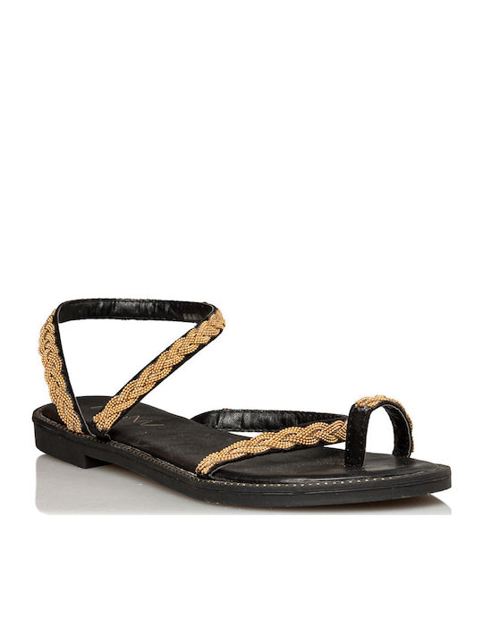 Envie Shoes