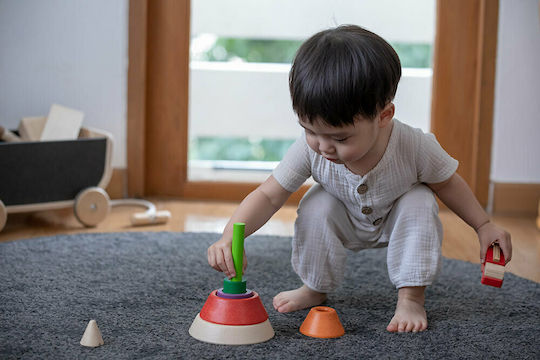 Plan Toys Играчка за подреждане Конус за сортиране от дърво за 18++ месеца