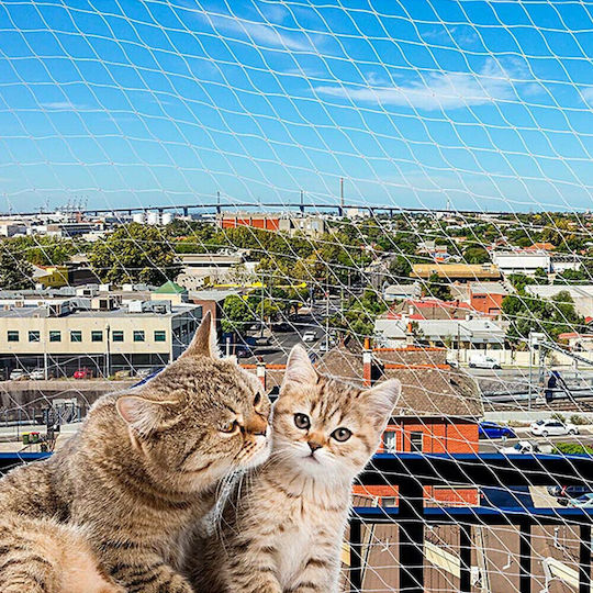 Ferplast Cat Net Katzennetz Schützend aus Metall 200 x 150 x 150cm