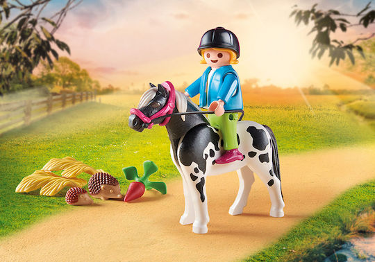 Playmobil Land Kutsche mit Pony für 4-10 Jahre