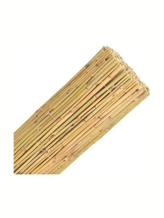 Showood Καλαμωτή Μπαμπού με Ολόκληρο Ξύλο 1x3m