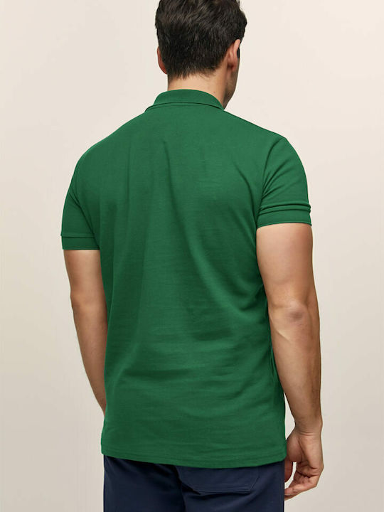 Polo T-shirt Cypress