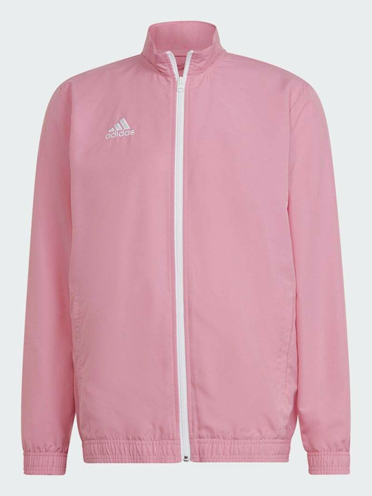 Entrada 22 Αθλητικό Μπουφάν Semi Pink Glow