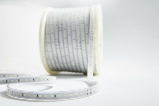 Cubalux Waterproof LED Strip 220V Cold White Light 50m