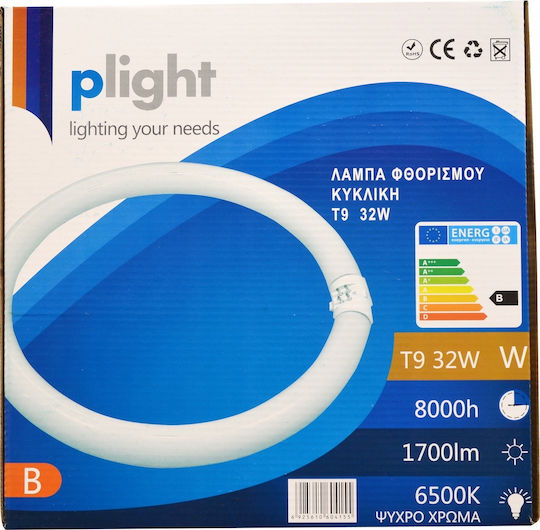 Plight Halogen Λάμπα Φθορίου με Σχήμα T9 32W