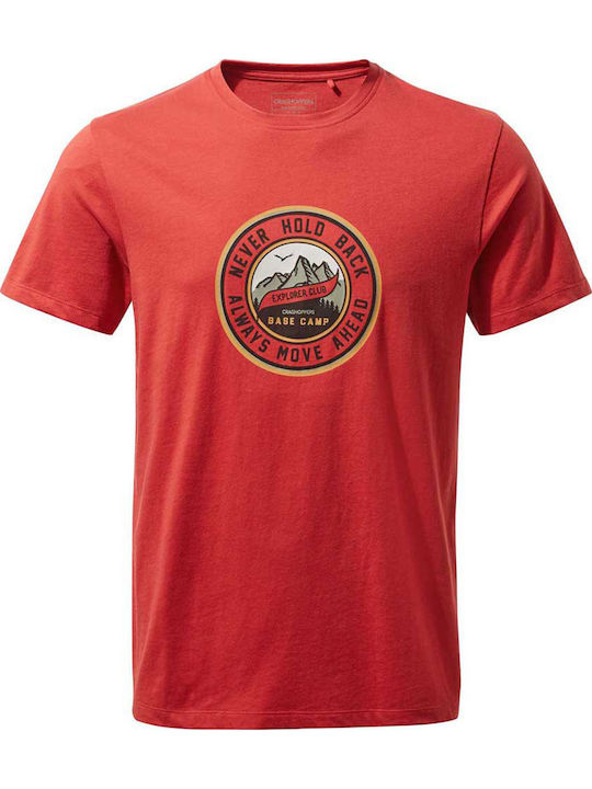 T-Shirt Rot