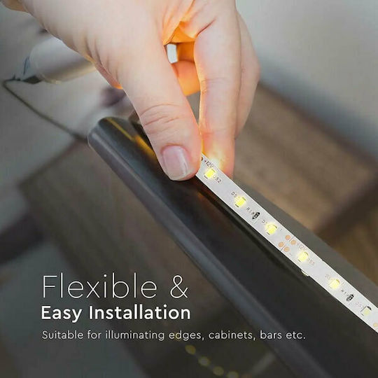 V-TAC LED Strip 12V Cold White Light 5m Type SMD3528