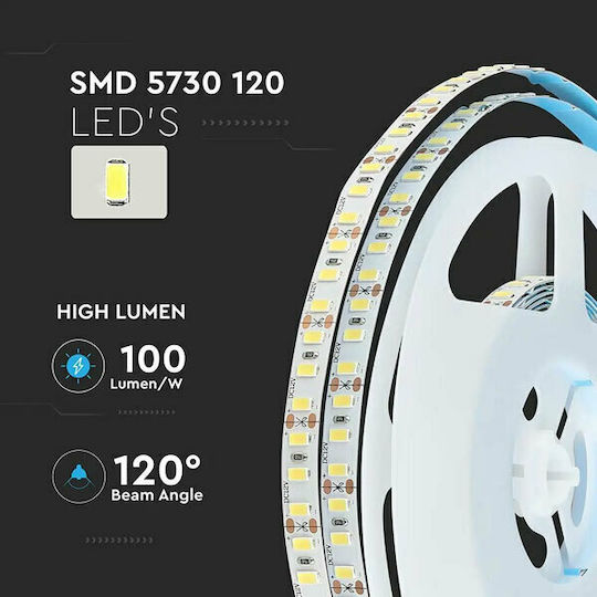 V-TAC LED Strip 12V Cold White Light 5m Type SMD5730