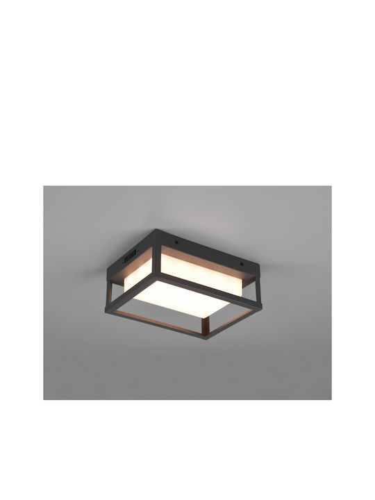 Trio Lighting Witham Wall-Mounted Outdoor Ceiling Light LED IP54 10.5W 18x24x24εκ.