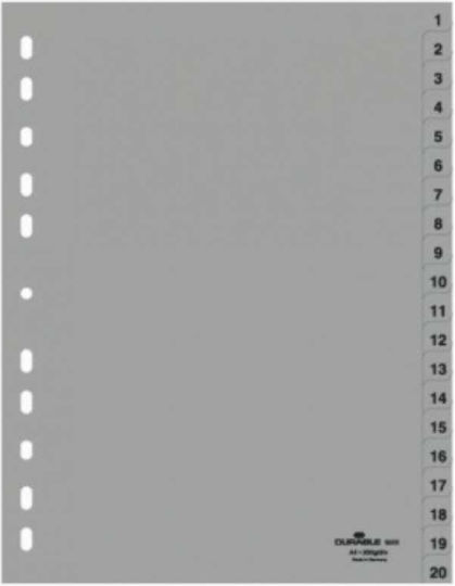 Durable Plastic Dividers for Documents A4 with Holes 20pcs 6522