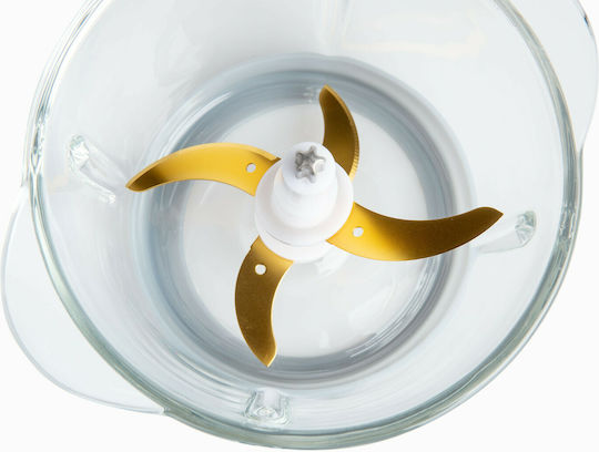 Rohnson Multi Chopper 700W with 1.2L Inox Bowl