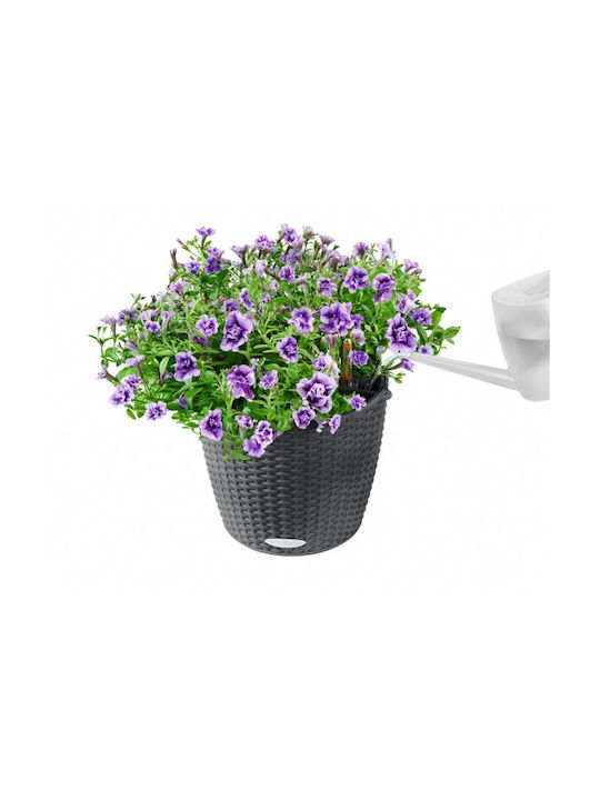 Lechuza Flower Pot Self-Watering / Hanging 35x23cm in Black Color 15303