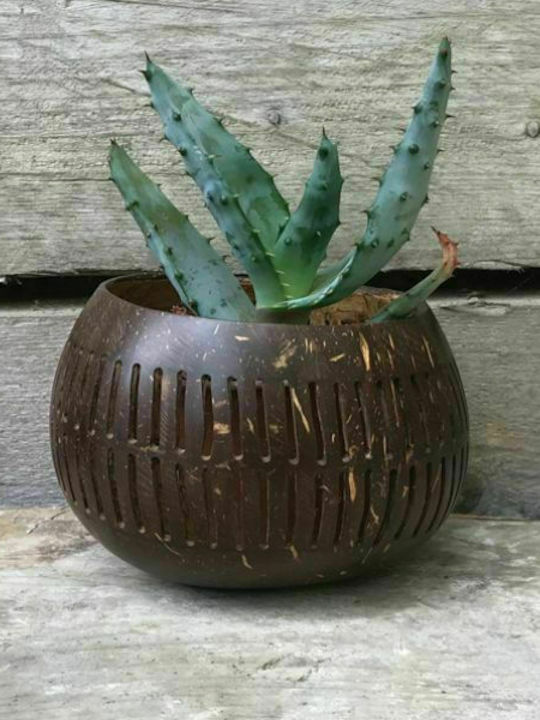 Synchronia Decorative Bowl Wooden Brown 13x13x10cm