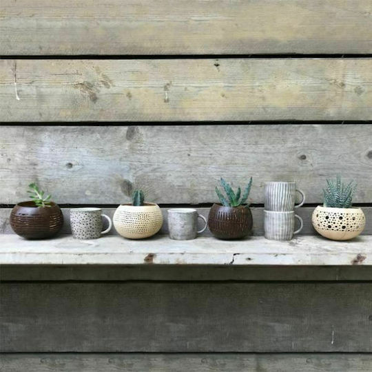 Synchronia Διακοσμητικό Μπωλ Ξύλινο Καφέ 13x13x10cm