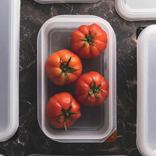 MasterPro Commercial Food Storage Container 0.6lt