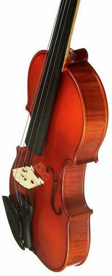 Franz Sandner Schönbach Violin Mod.101 4/4 Βιολί