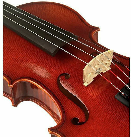 Franz Sandner Schönbach Violin Mod.107 4/4 Βιολί