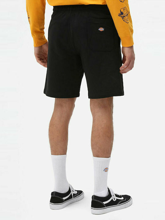 Dickies Champlin Men's Sports Shorts Black