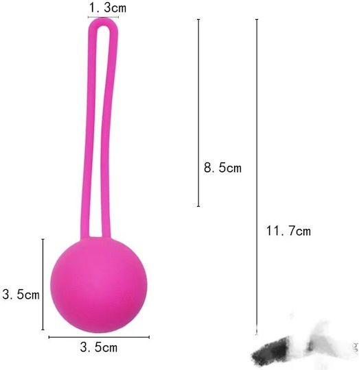 E09 Kegel Vagina Exerciser Ball Purple