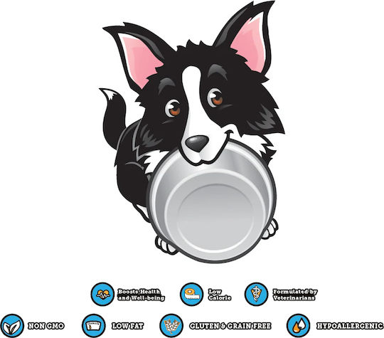 DoggyRade Probiotice 500ml