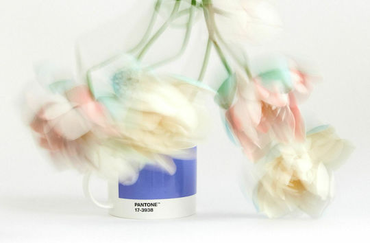 Pantone Φλιτζάνι Espresso
