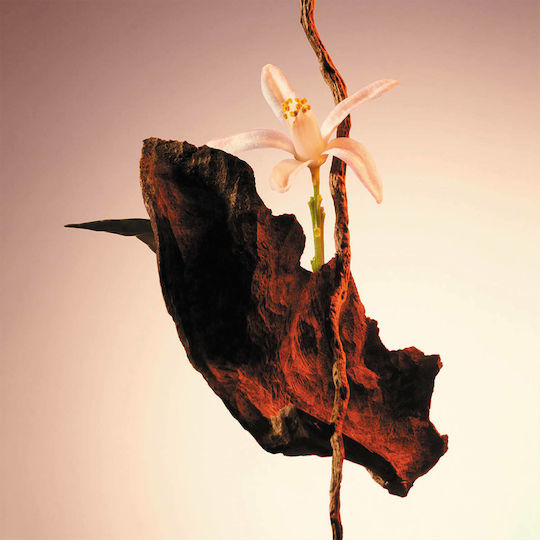 Boss The Scent Eau de Parfum 50ml