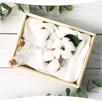 Always Dailies Cotton Protection Large Σερβιετάκια για Κανονική Ροή 2.5 Σταγόνες 32τμχ