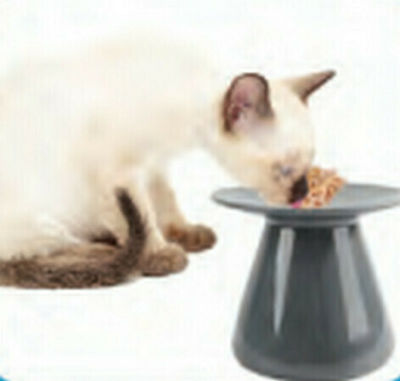 All For Paws Υπερυψωμένο Ceramic Cat Bowl for Food Gray 16x16x12εκ.