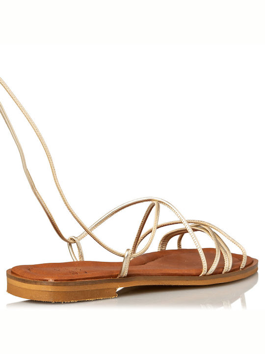 Wired Women's Flat Sandals in Gold Color