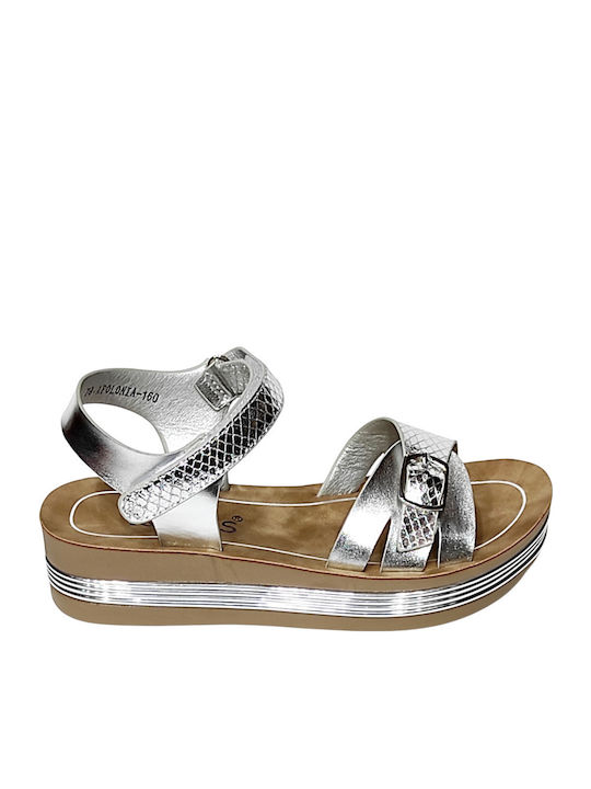 IQ Shoes