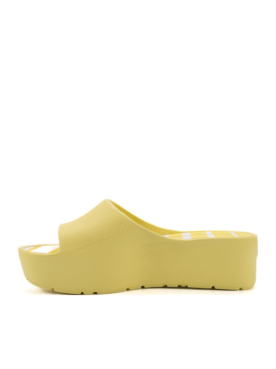 Solis 03 Slides Lemonade