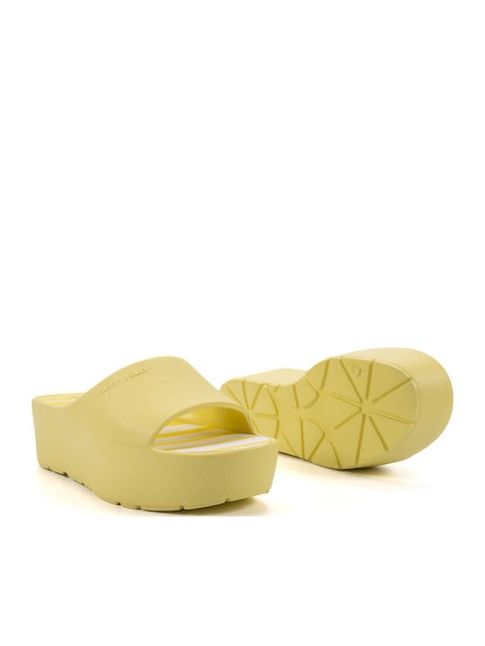 Solis 03 Slides Lemonade