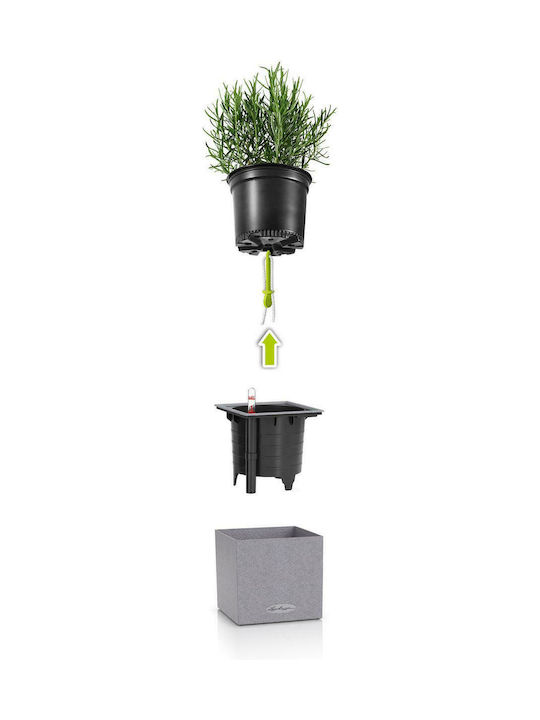 Lechuza Canto Stone Auto-udare Ghiveci Plastic Piatră gri 14x14x13.5cm.