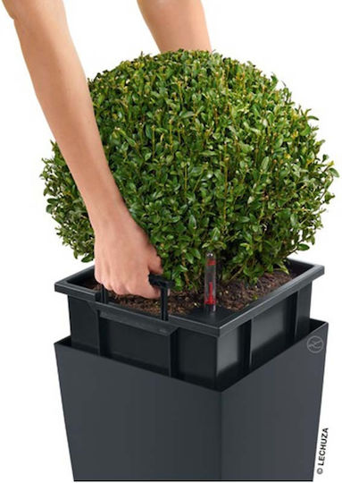 Lechuza Cubico Self-watering Pot Plastic 22x22x41cm.