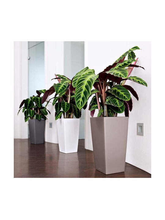 Lechuza Cubico Self-watering Pot Plastic 22x22x41cm.
