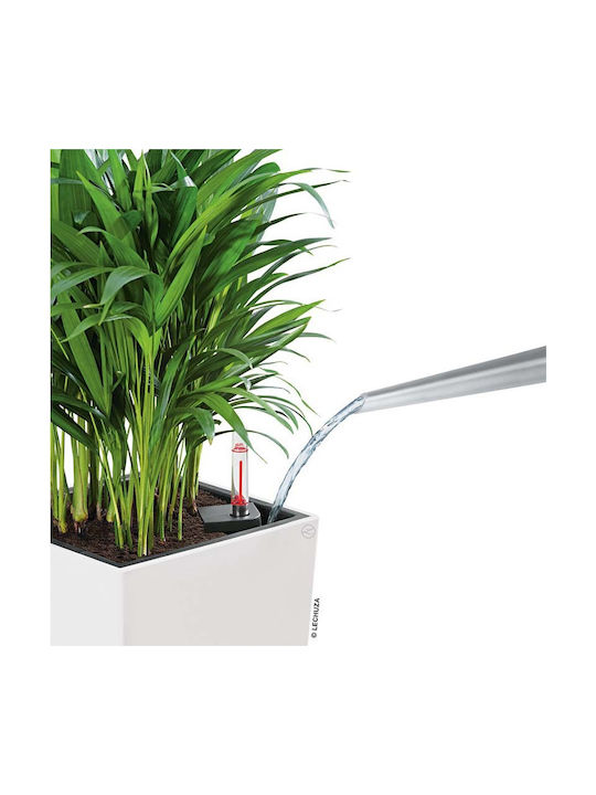 Lechuza Cubico Self-watering Pot Plastic 22x22x41cm.