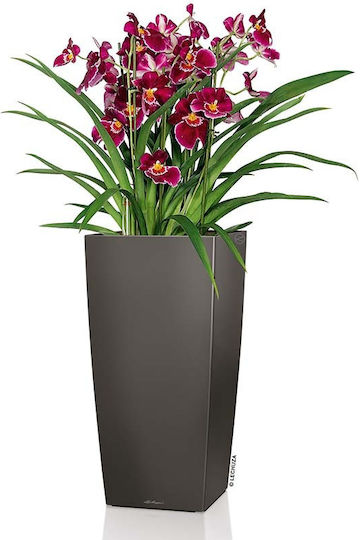Lechuza Cubico Premium Αυτοποτιζόμενη Γλάστρα Πλαστική Charcoal Metallic 39.5x39.5x75.5εκ.