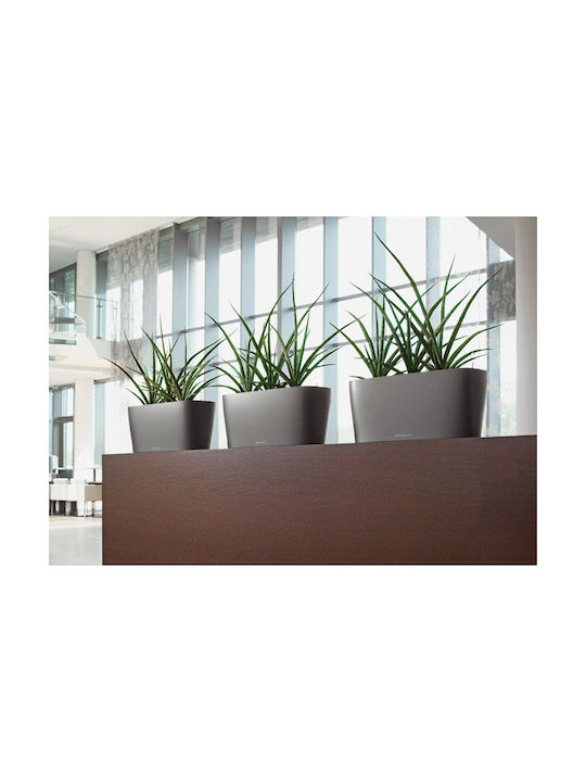 Lechuza Delta Auto-udare Planter Box Plastic Gri 40x15x18cm.