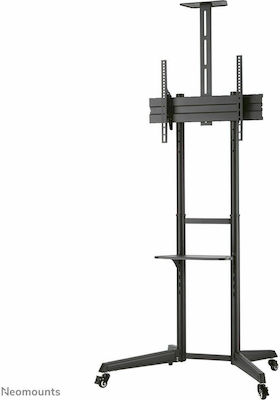 Neomounts FL50-550BL1 TV Mount Floor up to 70" and 50kg