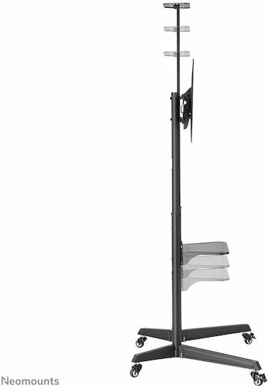 Neomounts FL50-550BL1 Βάση Τηλεόρασης Δαπέδου έως 70" και 50kg