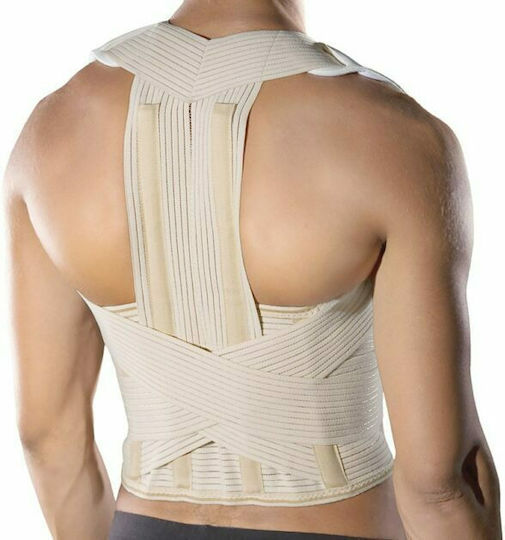 Anatomic Help 0138 Trunk Splint Beige