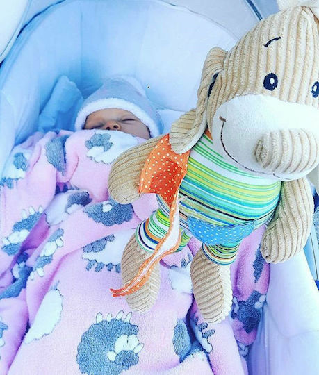 Babyono Jucărie Suspendată Auto Cu Muzică și Teether Cățelușul Meu Pentru Nou-Născuți