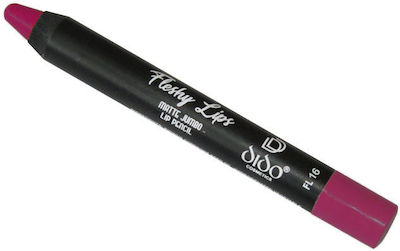 Dido Cosmetics Fleshy Lips Matte Jumbo Lip Pencil 16 2gr