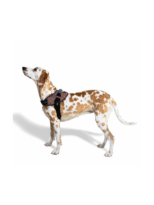 Zee-Dog Vortex Fly X-Small 34-49см