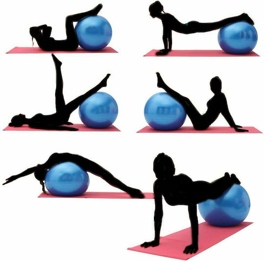 Wozinsky 65cm Ball Pilates 65cm in Blue Color
