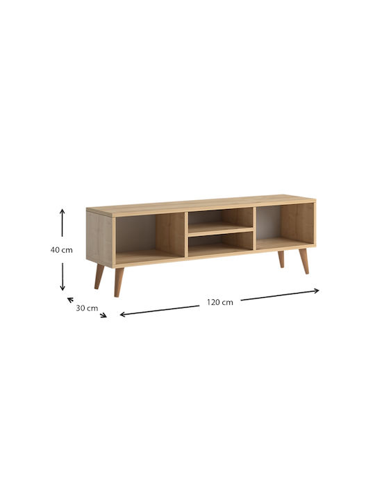 Stand TV Loren Stejar L120xA30xÎ40cm