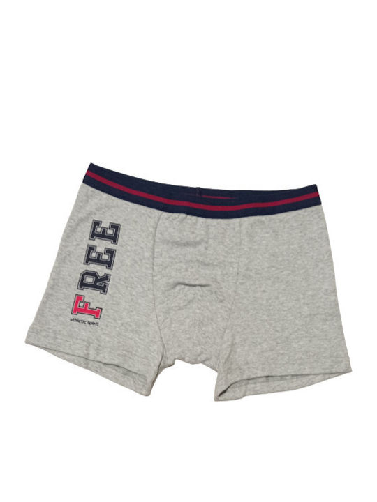 Minerva 41898 Kids Boxer Gray 1pcs