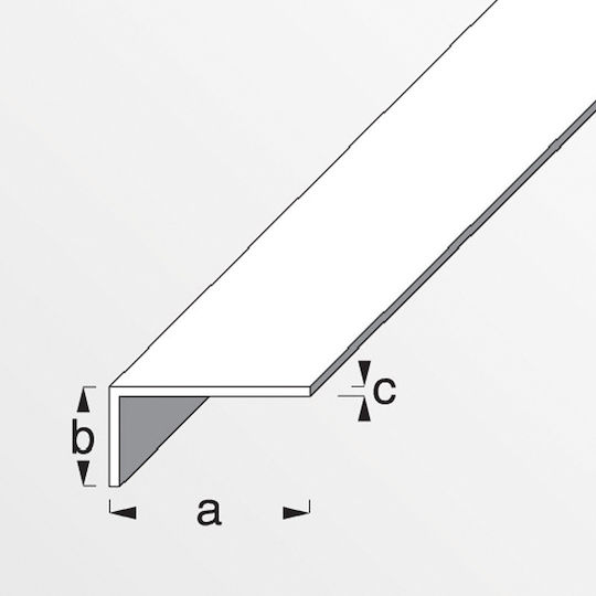 Alfer Aluminium Προφίλ PVC για Σκαλοπάτια 100x2x1εκ.